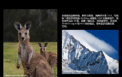 实用设备租赁管理软件选择哪一家